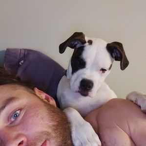 Meet your Posher, Dane